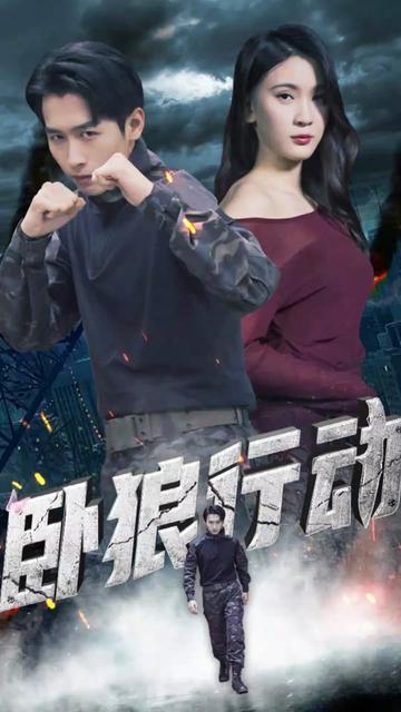 卧狼行动 1-20集