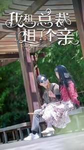 我和总裁相了个亲 全集(大结局)