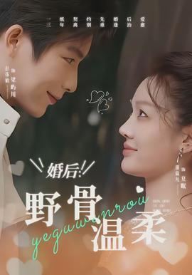 婚后：野骨温柔(全集)