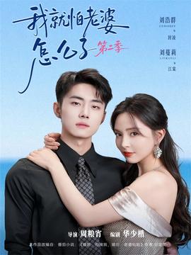我就怕老婆怎么了第二季(全集)